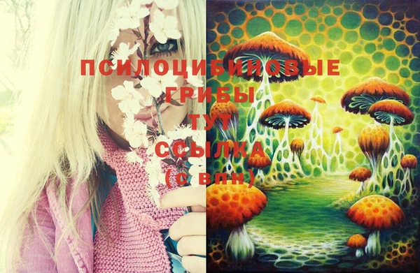 бошки Переславль-Залесский