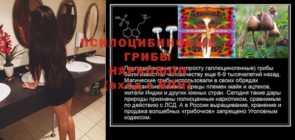 бошки Переславль-Залесский