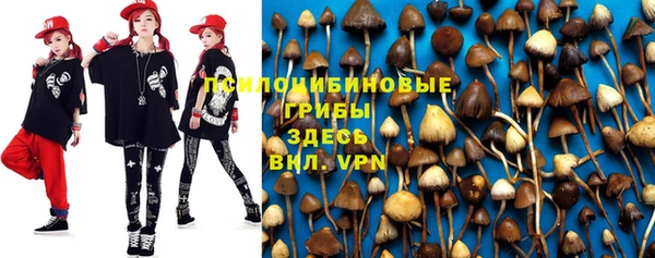 экстази Пересвет