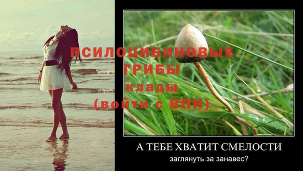 экстази Пересвет