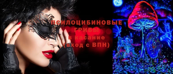 экстази Пересвет