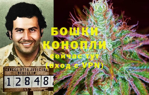 экстази Пересвет