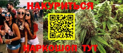 стафф Дубна