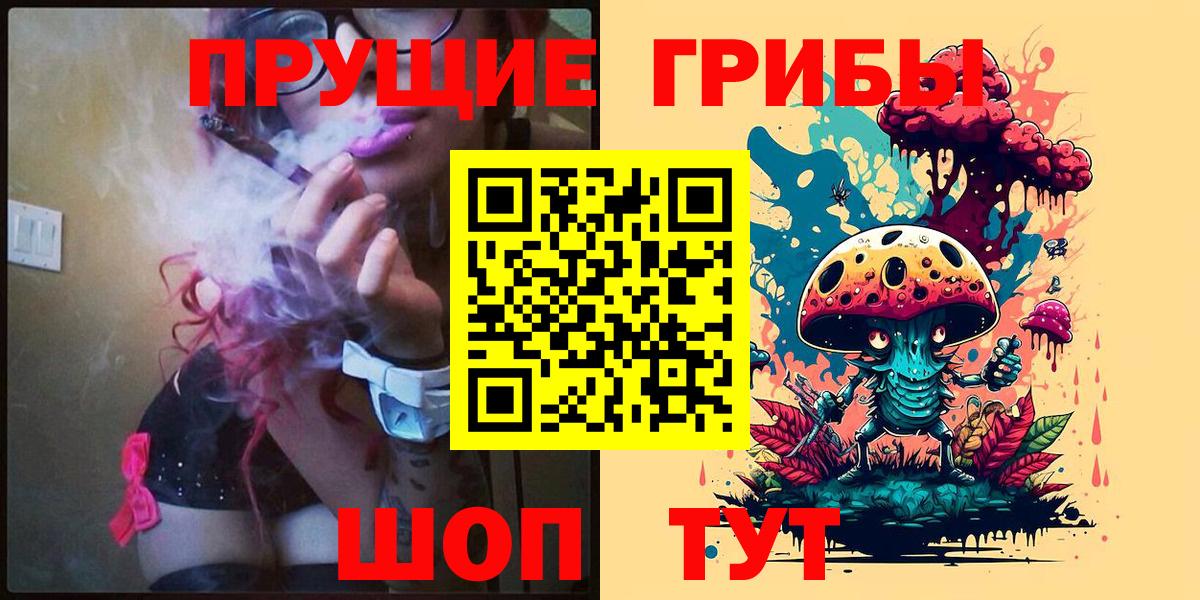 Псилоцибиновые грибы мицелий  Вход с VPN  Псилоцибиновые грибы прущие грибы  где купить наркотик  Приморско-Ахтарск 